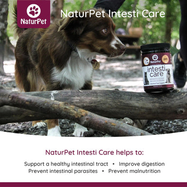 NaturPet Intesti Care - For Intestinal Health & Support Benefits