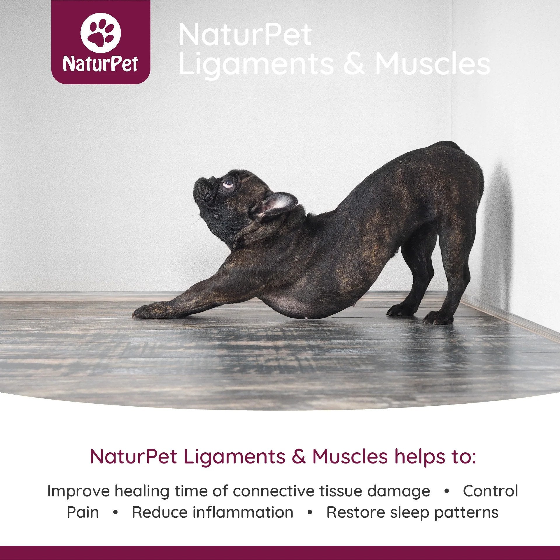 NaturPet Ligaments & Muscles - Soft Tissue Support Benefits