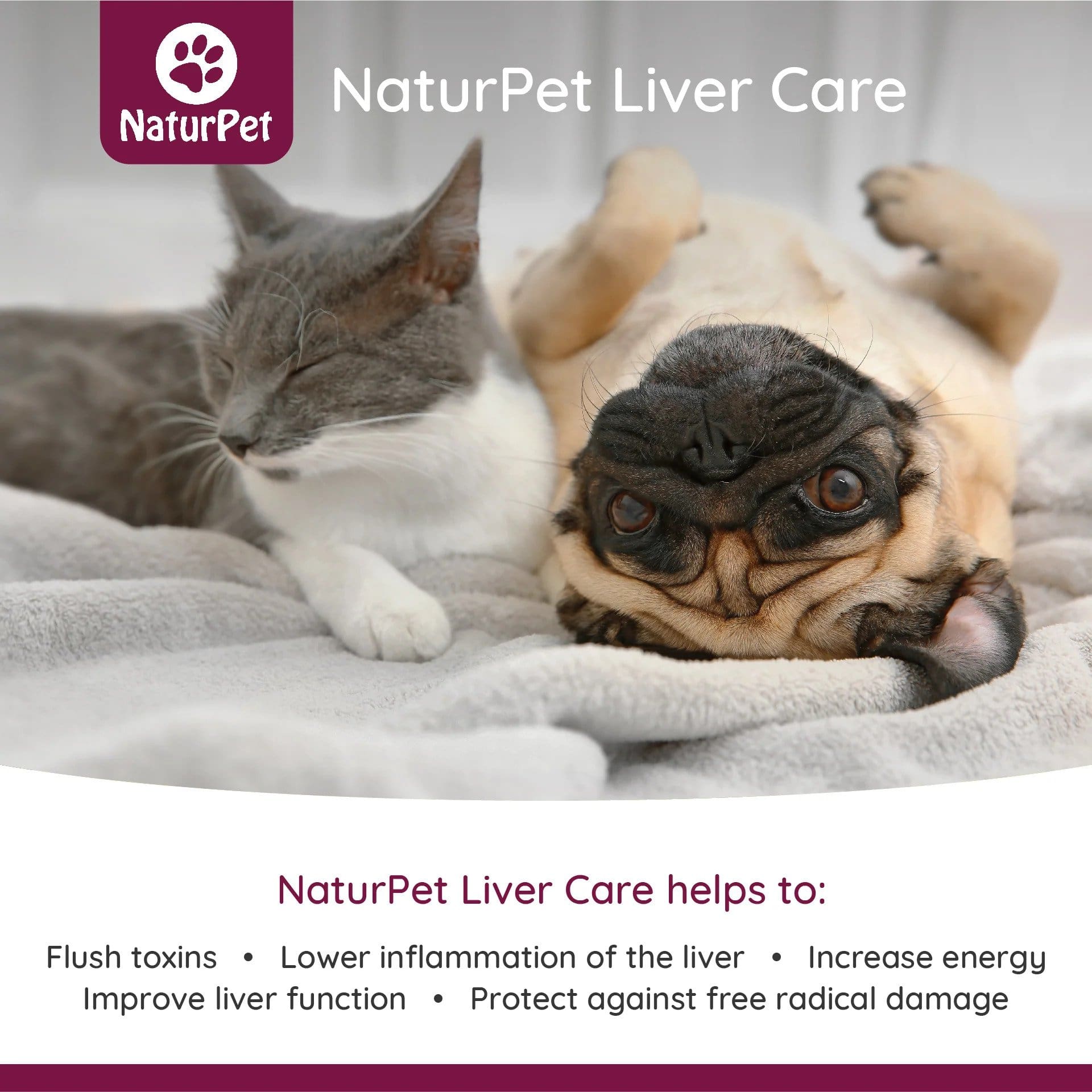 NaturPet Liver Care - With Milk Thistle Benefits