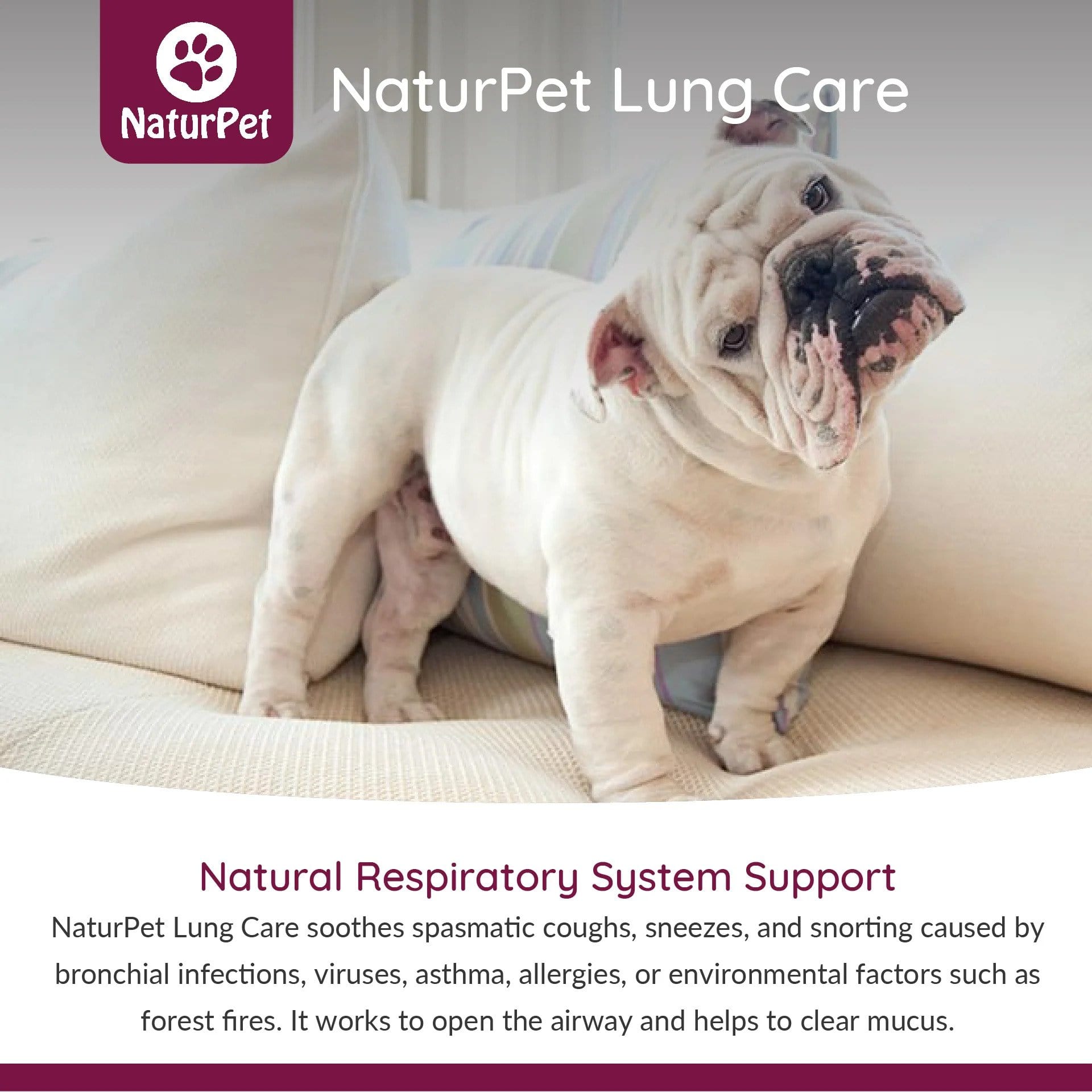 NaturPet Lung Care - For Sneezing & Wheezing How to use