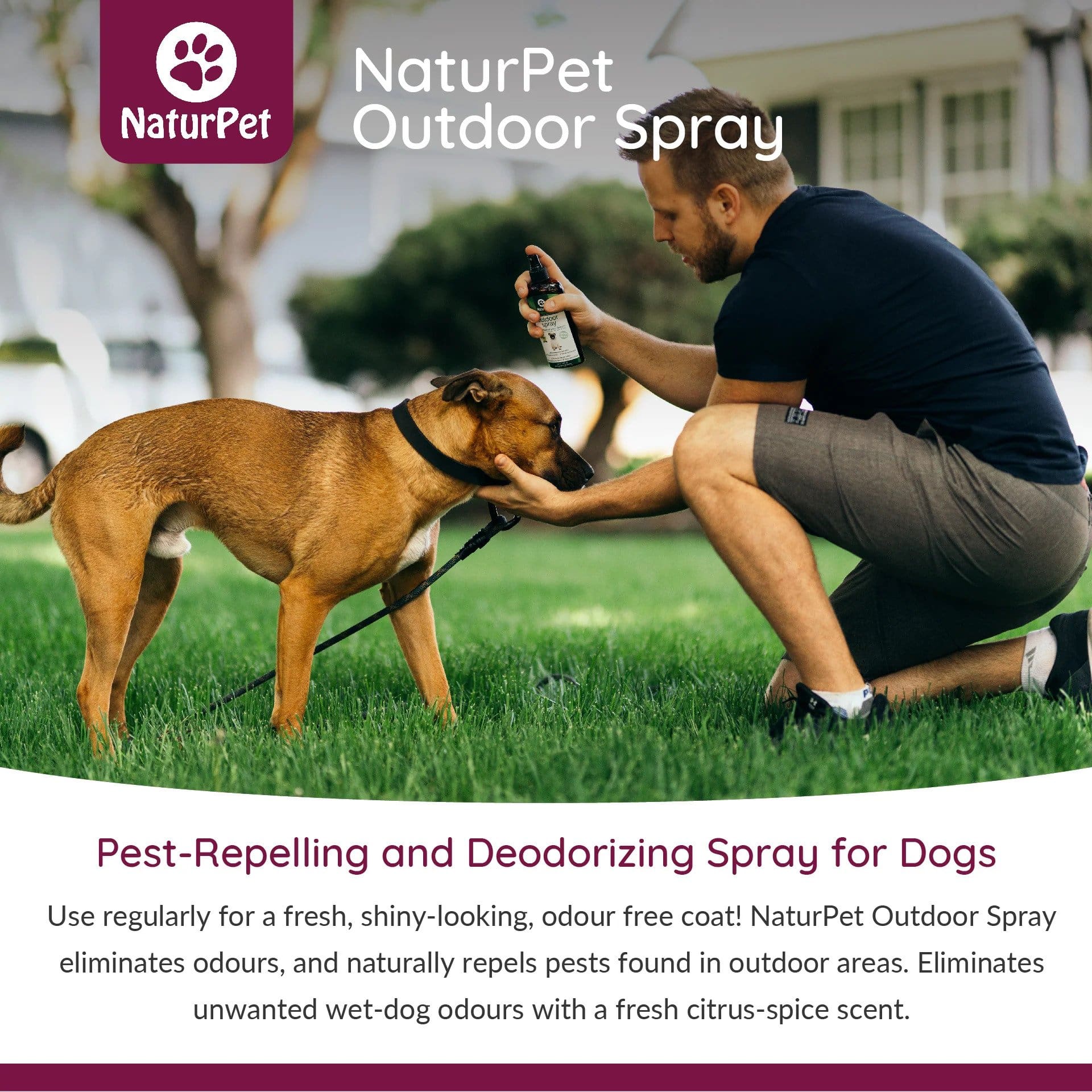 NaturPet Outdoor Spray - A Must-Have For Hikes & Wet Dogs! How to use