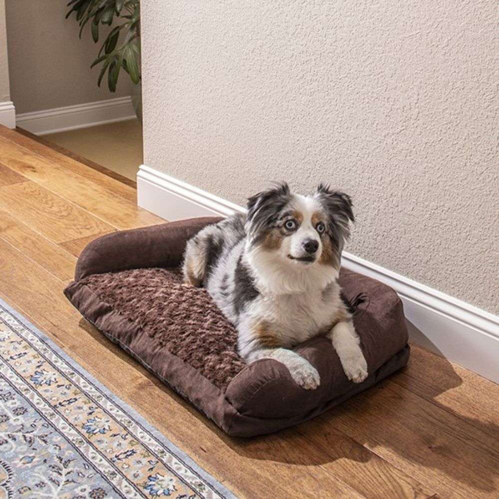 New Age Pet Buddy’s Cushion Big Dog Beds