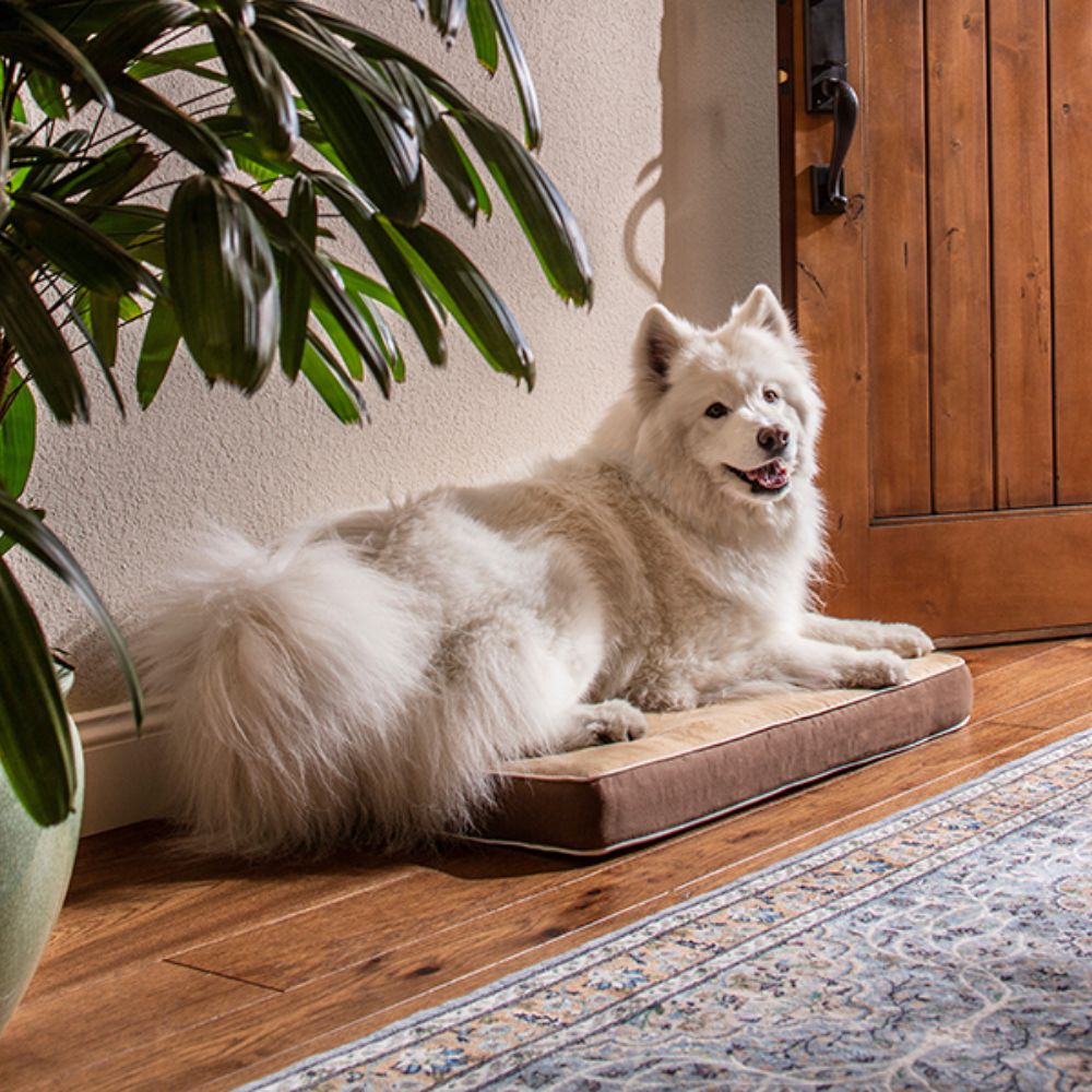 New Age Pet InnPlace Dog Cushion Raised Dog Beds