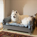 New Age Pet Manhattan Pet Bed Dog Beds With Removable Covers