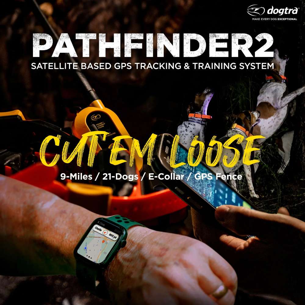 Nighttime hunting scene shows dogs being tracked on a phone and smartwatch using Dogtra GPS Pathfinder2 E-Collar 9 Mile Range with long-distance GPS features