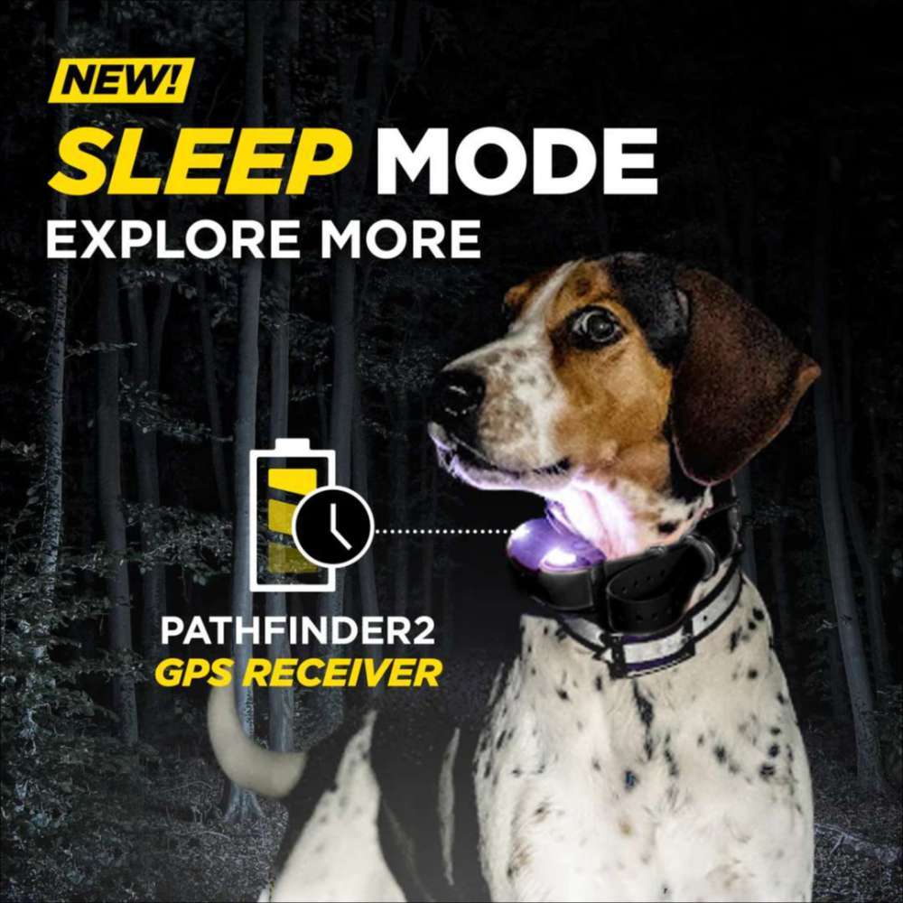 Nighttime image of a dog wearing Dogtra Pathfinder2 Extra Receiver Collar, featuring a glowing light and sleep mode for outdoor use