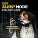 Nighttime image of a dog wearing Dogtra Pathfinder2 Extra Receiver Collar, featuring a glowing light and sleep mode for outdoor use