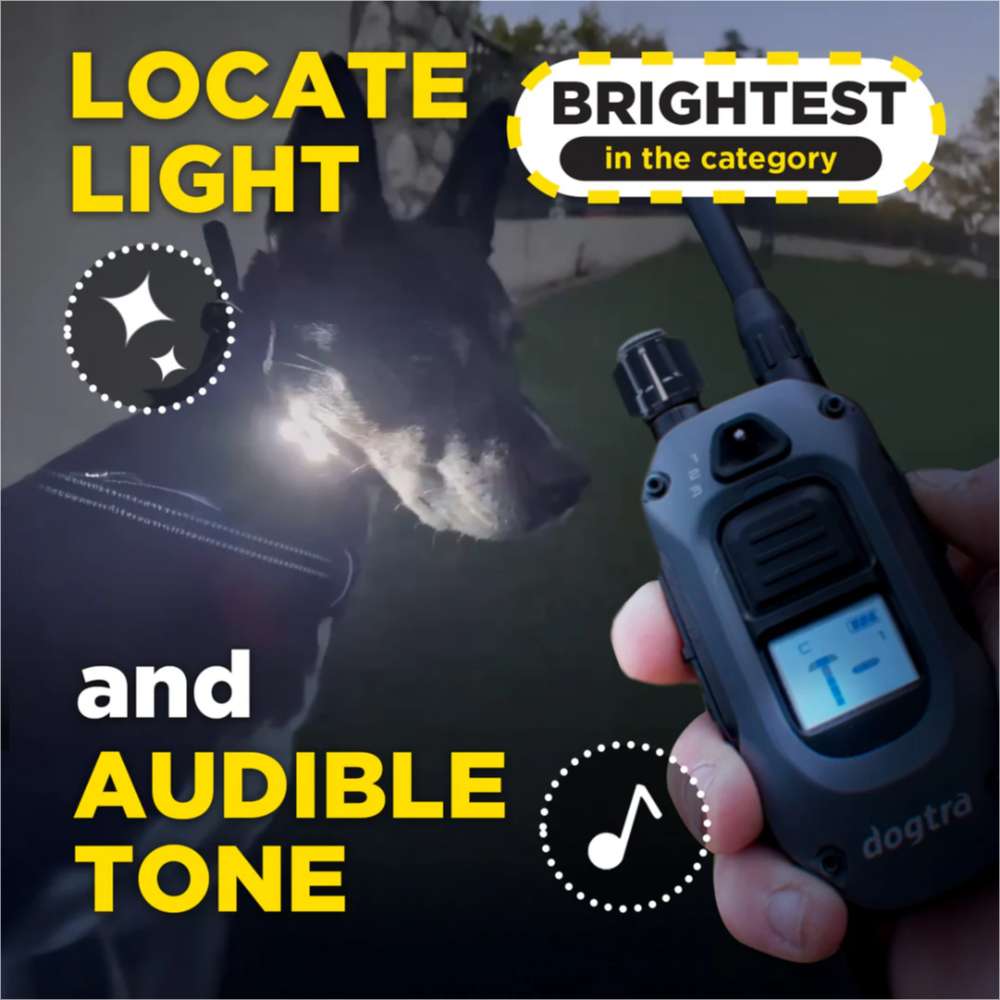 Nighttime scene shows Dogtra 280X Remote Trainer 1 Dog System with a bright locate light and audible tone for visibility