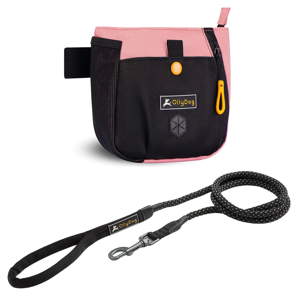 Olly Dog Grays Peak Bundle Pink