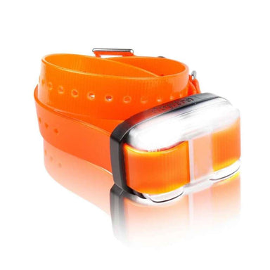 Orange Dogtra EDGE Additional Receiver Dog Collar with a silver receiver is displayed curled, making the vibrant color easy to notice
