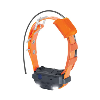 Orange Dogtra Pathfinder2 Mini TRX Additional Receiver collar with a black tracking device and flexible antenna on a plain background.