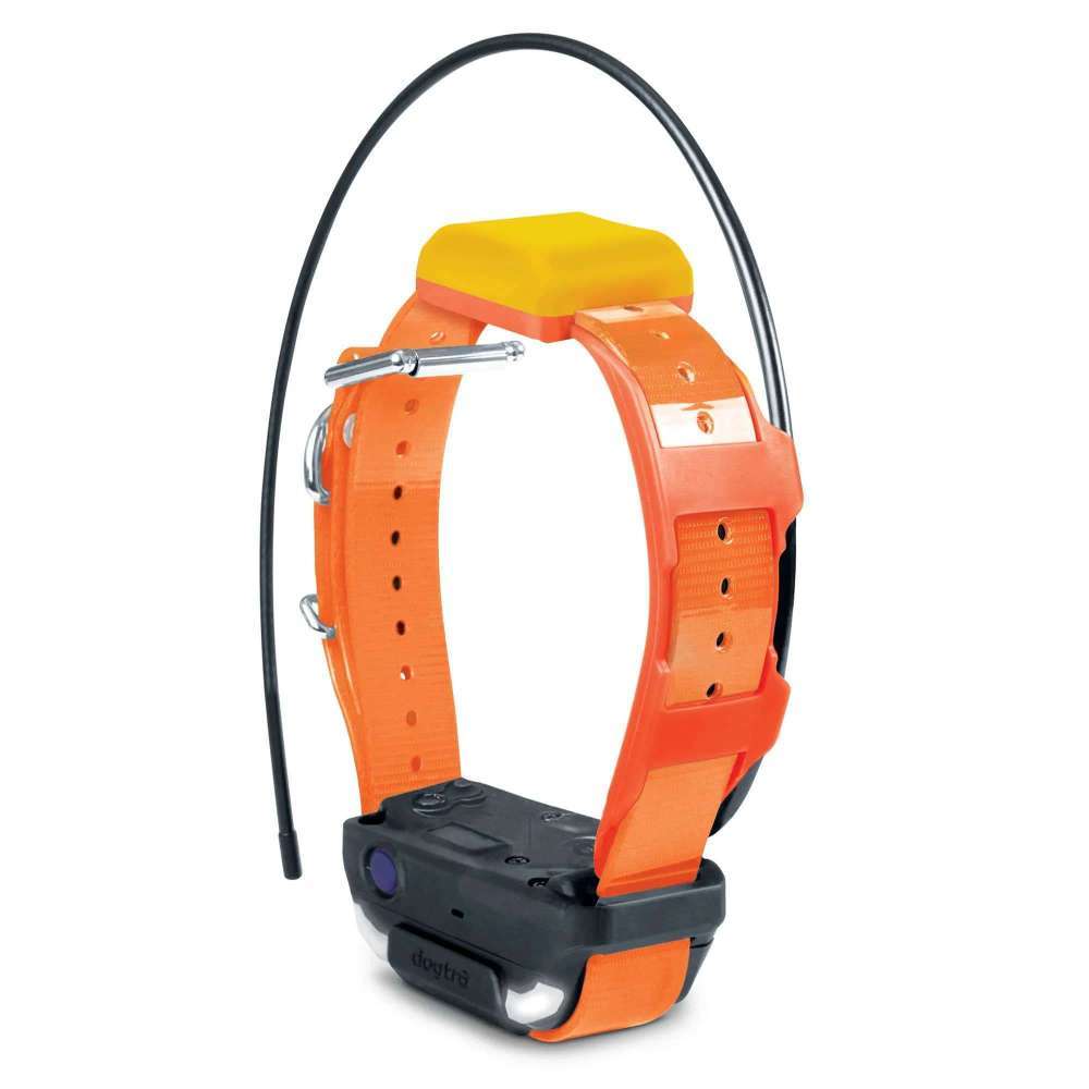 Orange Dogtra Pathfinder2 TRX Extra Receiver Collar stands upright, highlighting its antenna, buckle, and rugged design