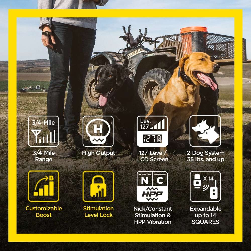 Outdoor scene shows two dogs with feature icons for range, boost, and control on Dogtra 1902S Handsfree Plus Boost & Lock Dog Remote Trainer