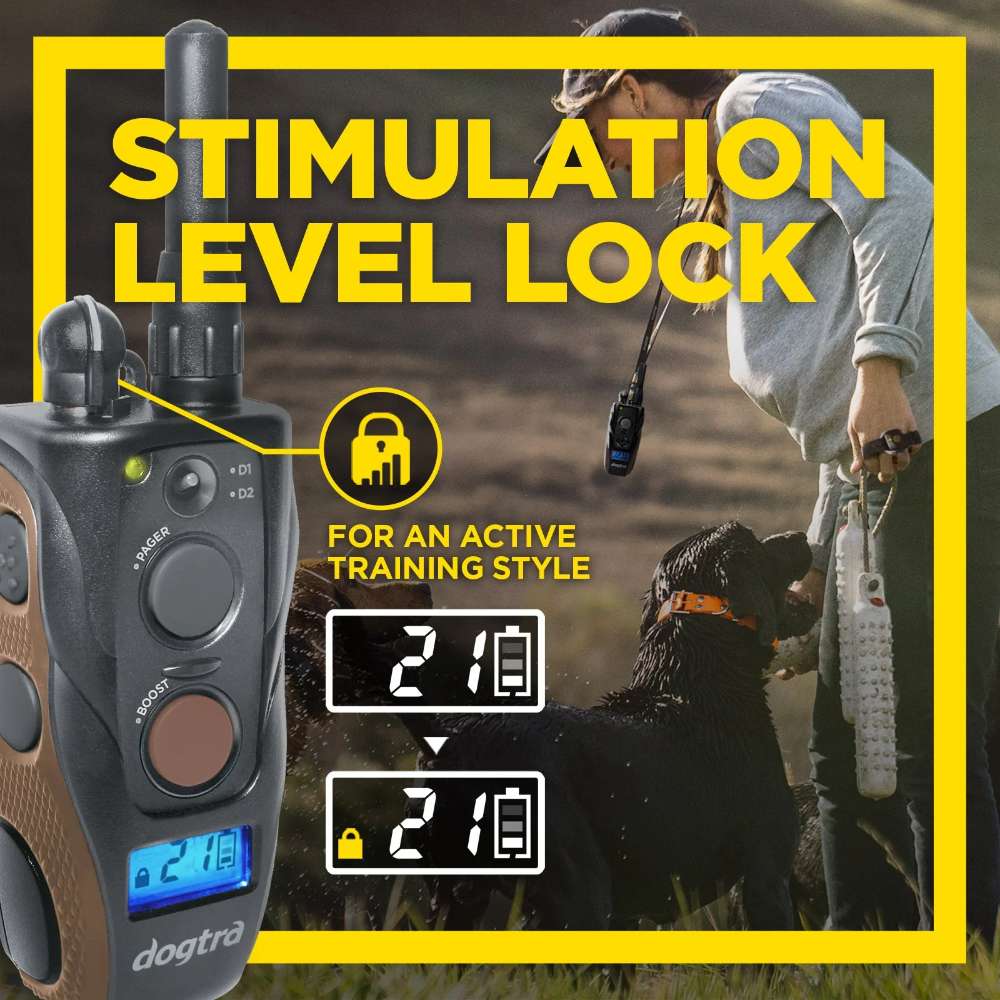 Outdoor training scene shows a person using the stimulation lock feature on Dogtra 1902S Handsfree Plus Boost & Lock Dog Remote Trainer with their dog