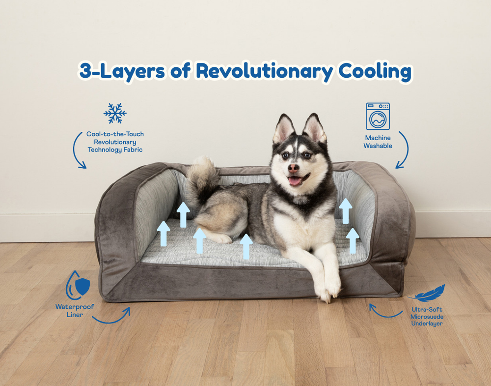 Paw PupChill Cooling Bolster Dog Bed