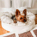 Paw PupPouf Faux Fur Donut Dog Bed White with Brown Accents