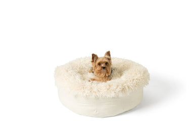 Dog resting in PupPouf Luxe donut bed