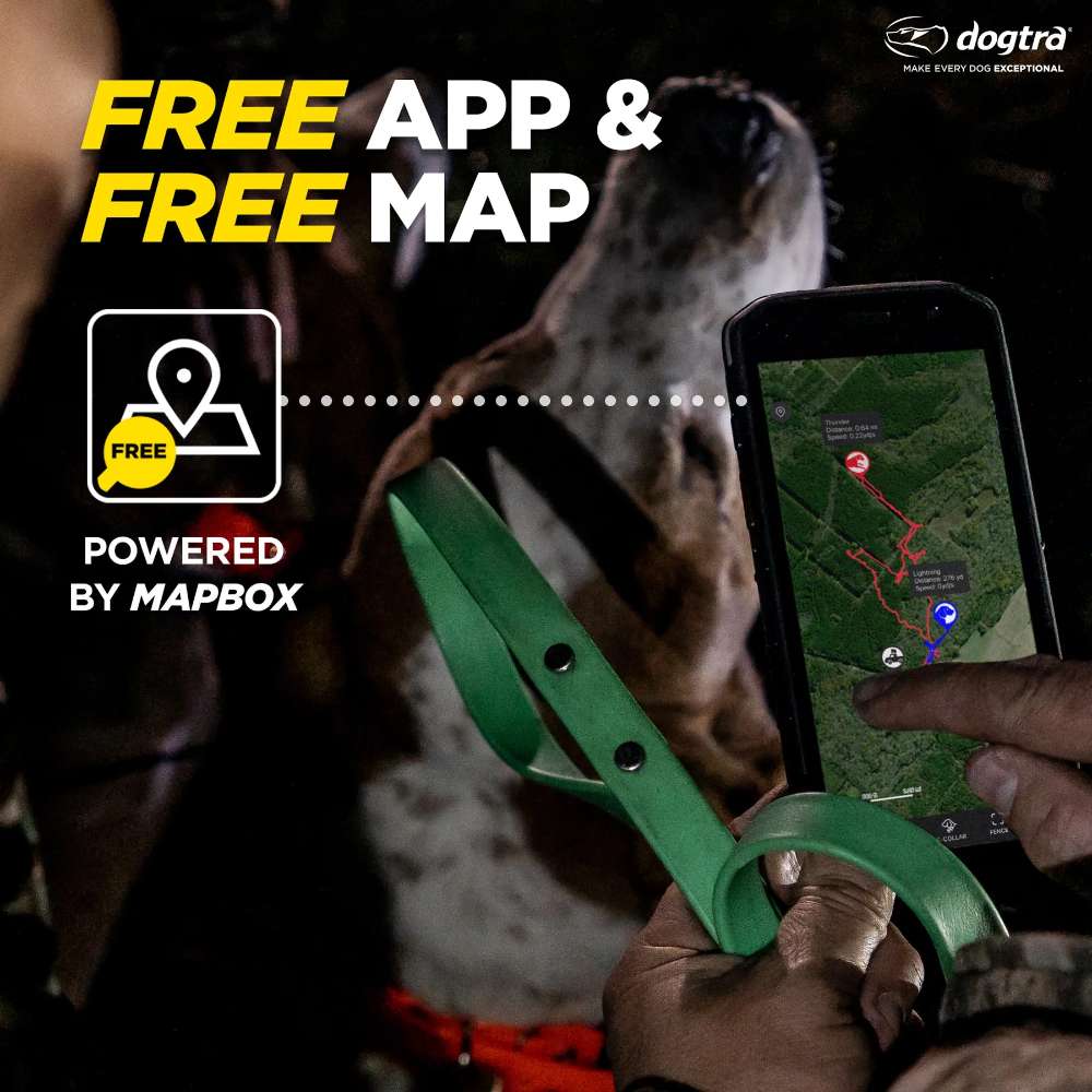 Person holds a phone with a tracking map while a dog stands nearby, showing Dogtra GPS Pathfinder2 E-Collar 9 Mile Range free app and mapping system