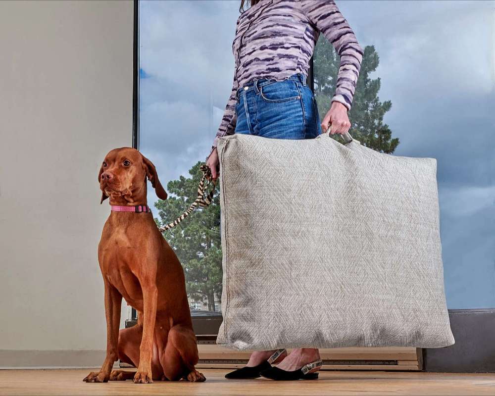 Person stands beside a brown dog while carrying the oversized Bowsers Avenue Dog Bed by its sturdy handle