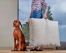 Person stands beside a brown dog while carrying the oversized Bowsers Avenue Dog Bed by its sturdy handle