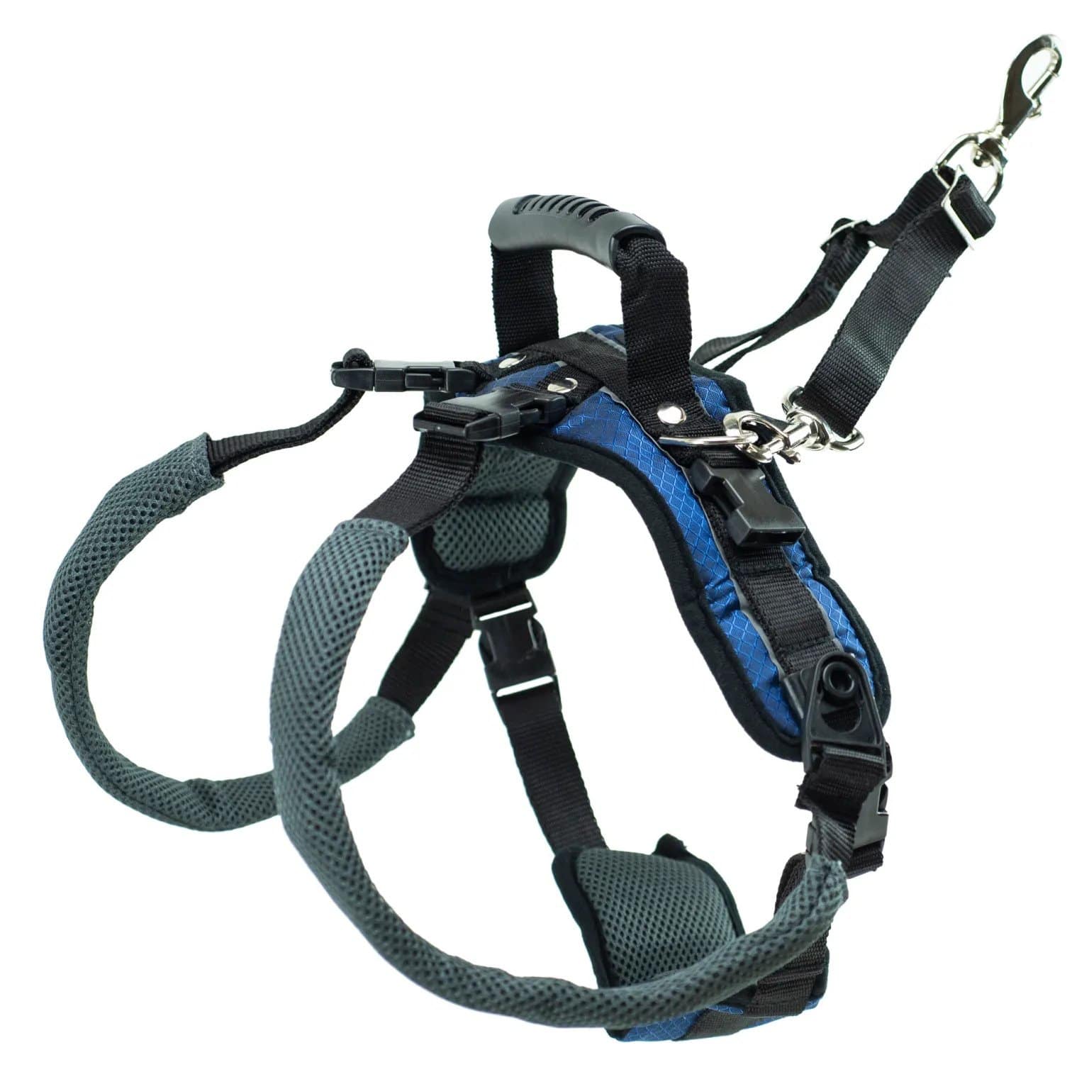 Carelift harness 2024