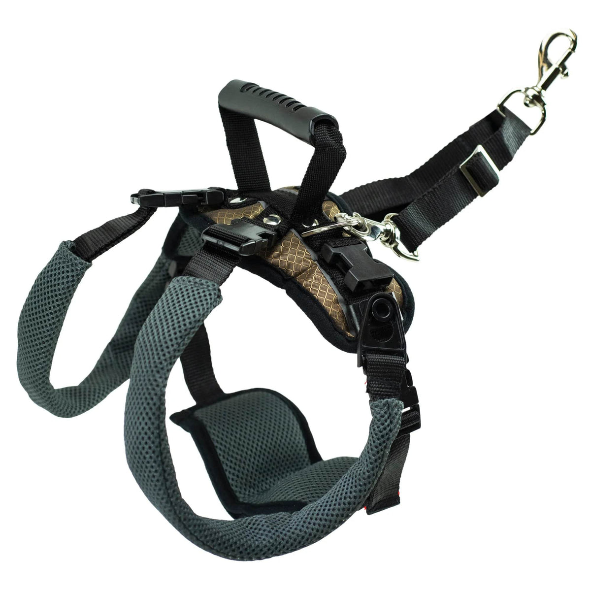 Dog Rear Harnesses PetSafe CareLift Dog Rear Harness — Puppy Fever Pro