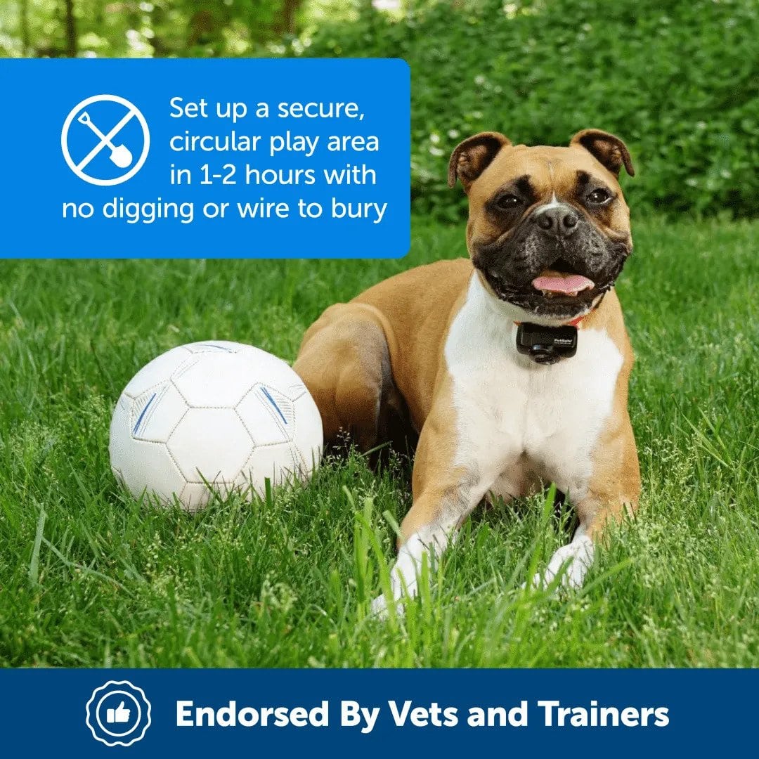 PetSafe In-Ground Fence No Wire Endorsed by Vets and Trainers
