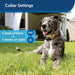 PetSafe Premium Basic Dog In-Ground Fence Collar Setting