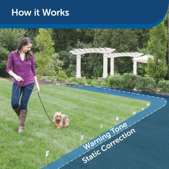 PetSafe Rechargeable In-Ground Dog Fence How it works