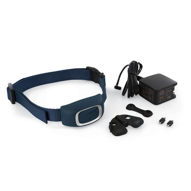 PetSafe Smart Phone Dog Remote Trainer Blue