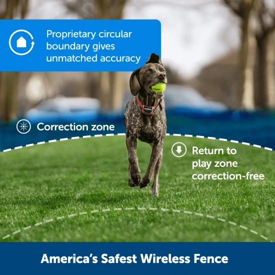 PetSafe Stay + Play Wireless Fence for Stubborn Dogs Safest Wireless Fence