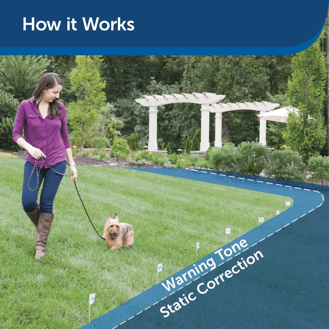 PetSafe Stubborn Dog Fence WiseWire® How it works