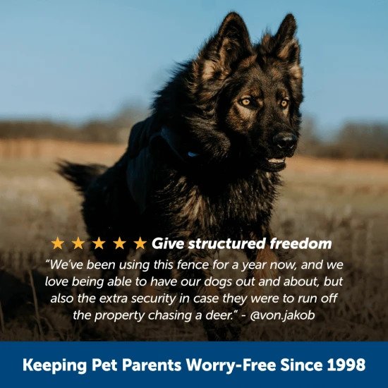 PetSafe YardMax Fence System WiseWire® Review