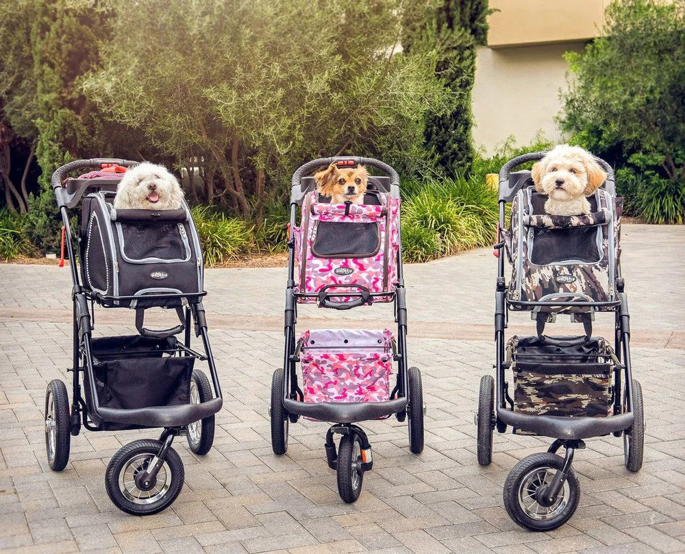 Petique 5-in-1 Pet Stroller (Complete Set with Pet Carrier and Stroller Frame)