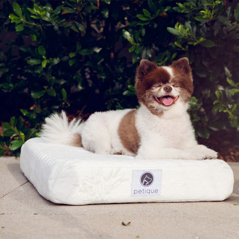 Petique Bamboo Memory Foam Pet Bed Modern Luxury Dog Beds