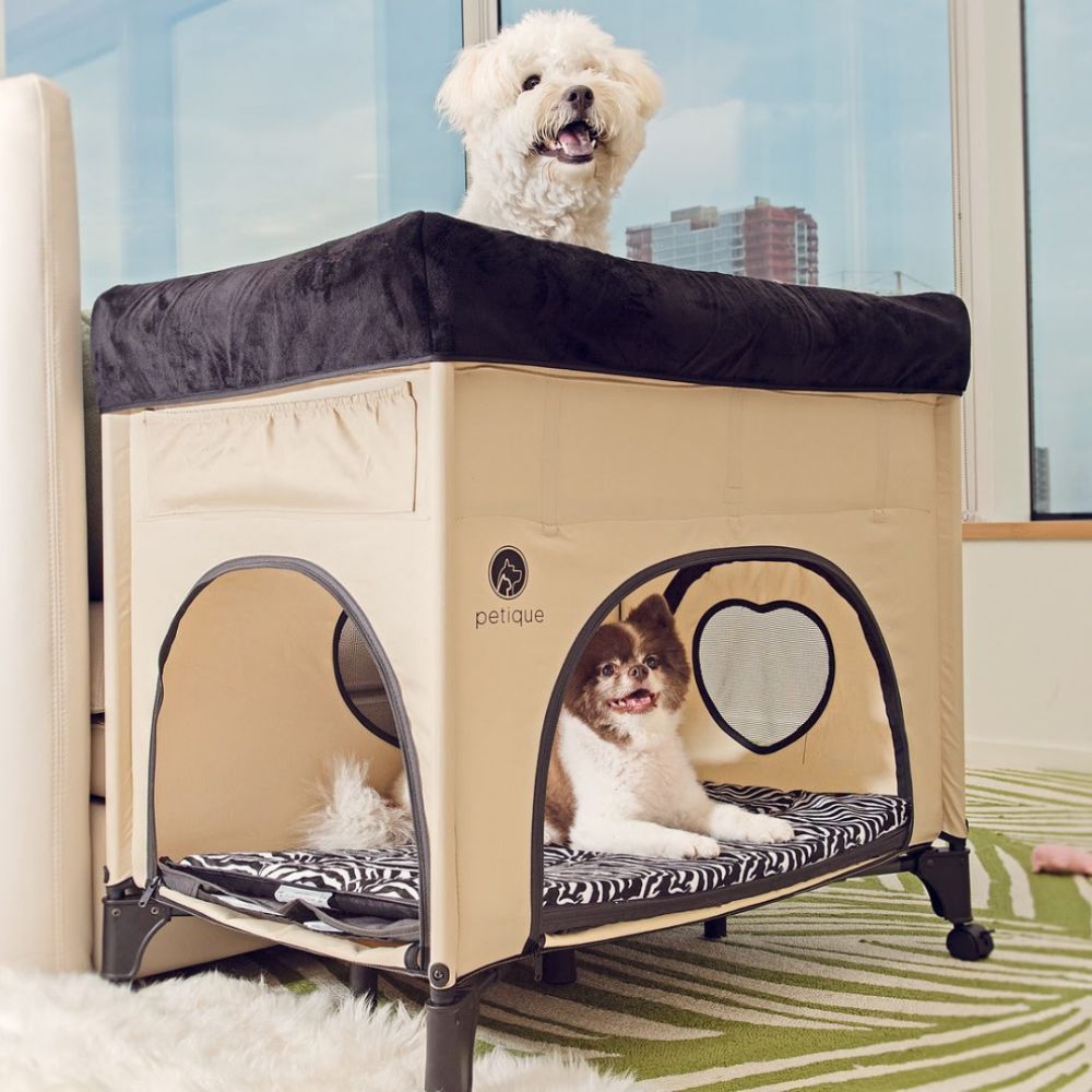 Petique Bedside Lounge Pet Bed Travel Dog Beds
