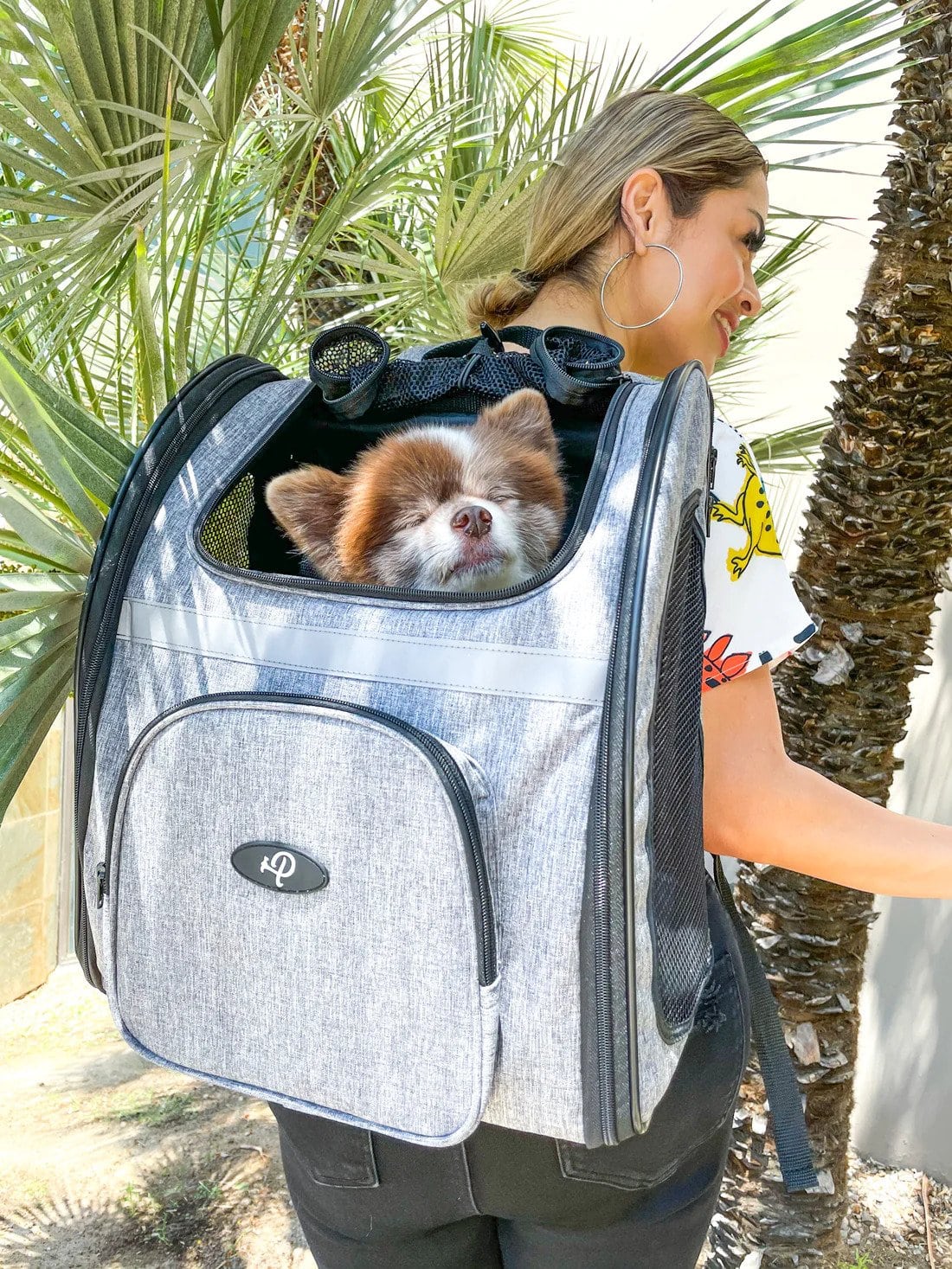 Petique The Backpacker Pet Carrier Actual