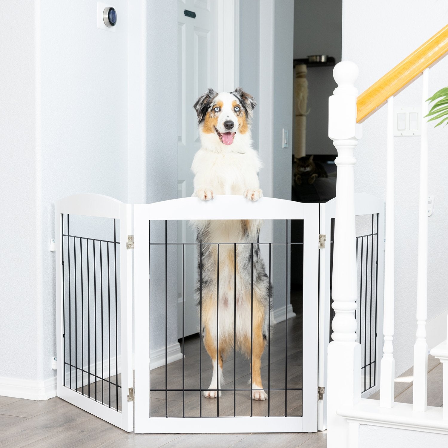 Wall mounted baby clearance gate with cat door