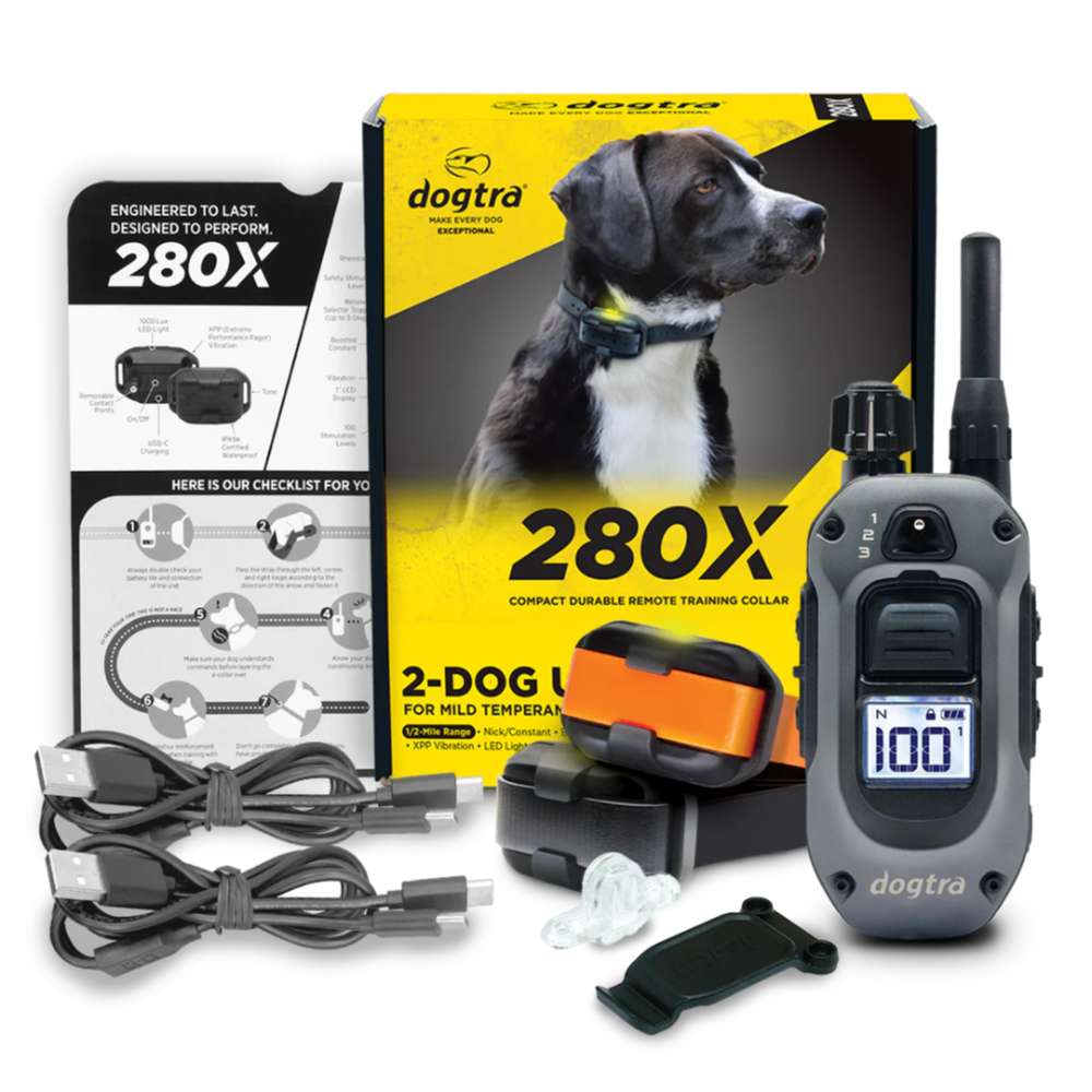 Product display of Dogtra 280X Remote Trainer 2 Dog System shows two collars, a handheld remote, charging cables, and packaging arranged neatly