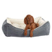 Pumice Bowsers One Of A Kind Scoop Dog Bed shows a brown dog sitting inside a gray bed with a soft cream interior, looking relaxed and supported