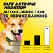 Puppy wears Dogtra iQ VIBE Dog Bark Control Collar, showing its three adjustable vibration levels for training