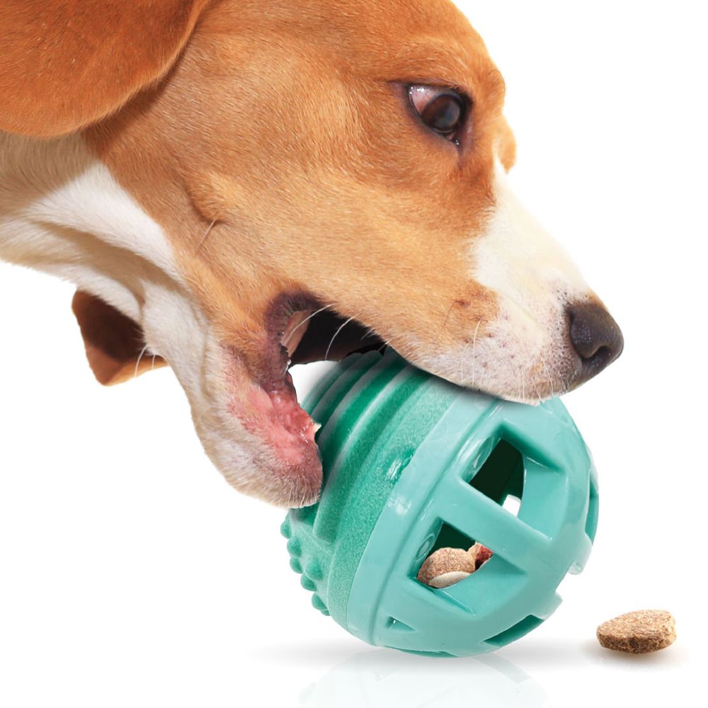 https://puppyfeverpro.com/cdn/shop/files/ReThink-Pet-Treat-Dispenser-Beef-Scented-Ball-Dog-Toys.jpg?v=1699944782