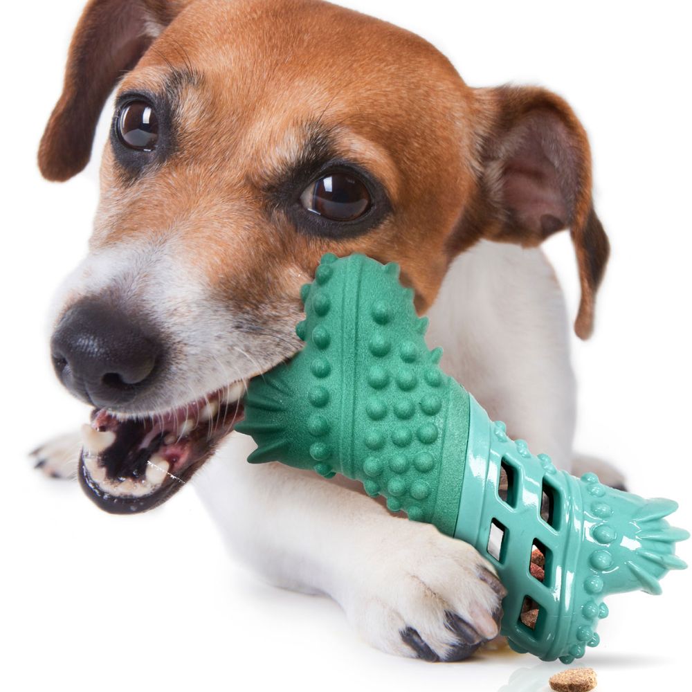 https://puppyfeverpro.com/cdn/shop/files/ReThink-Pet-Treat-Dispenser-Beef-Scented-Bone-Dog-Toys.jpg?v=1699944782