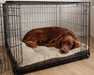 Red-coated dog lies inside a wire crate on a plush beige and brown Bowsers Dream Futon Dog Bed