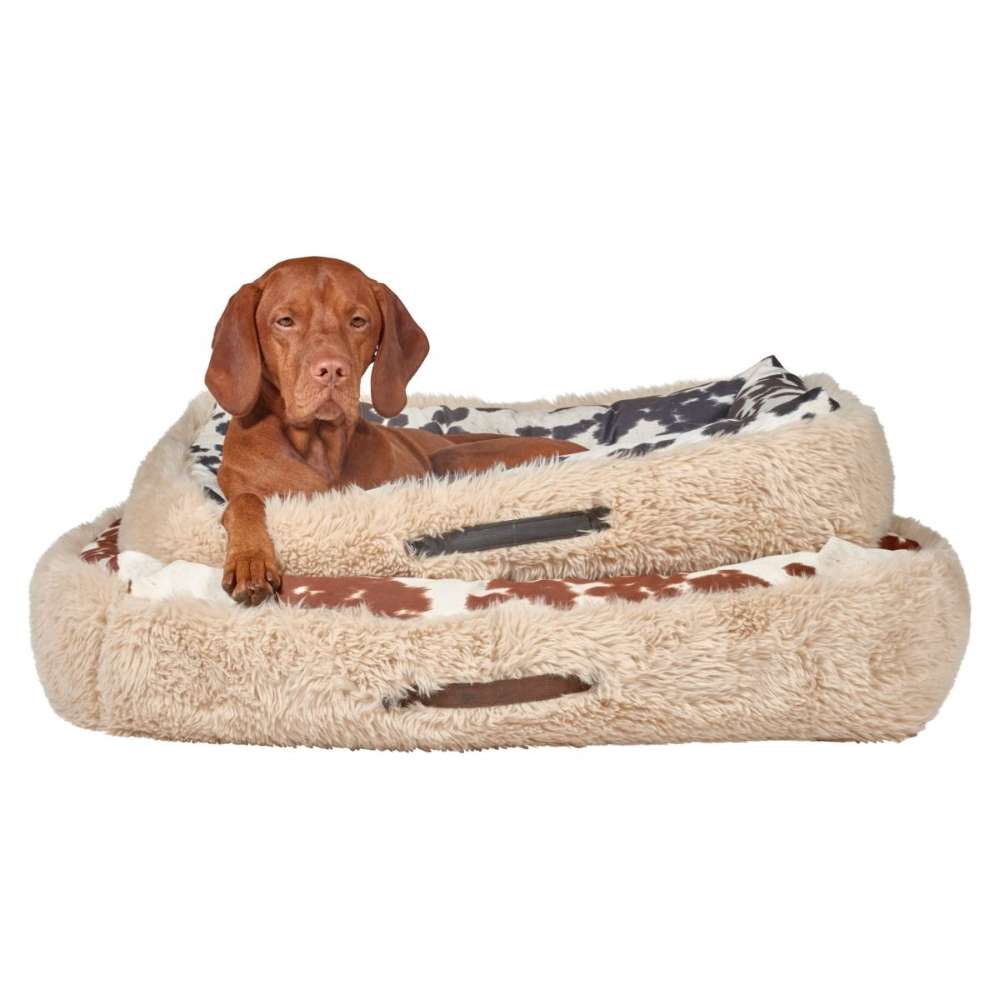 Relaxed brown dog lounges in a fluffy tan and cow-print Bowsers The Dude Dog Bed stacked on top of another