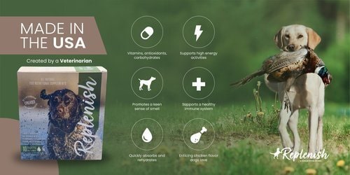 Replenish Dog Hunting and Bird Dog Supplement 10 Packets Benefits