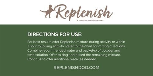 Replenish Dog Hunting and Bird Dog Supplement 10 Packets Direction for use