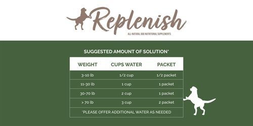 Replenish Dog Hunting and Bird Dog Supplement 10 Packets Suggested Amount of Solution