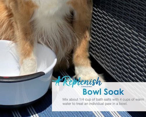 Replenish Dog Natural Paw Healing Solution Bowl Soak