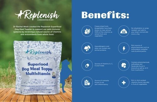 Replenish Dog Superfood Dog Meal Topper Benefits